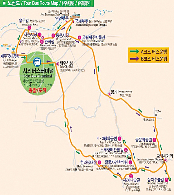 济州市观光巴士今年3月至12月运行