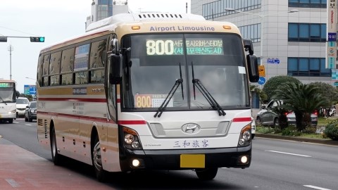增加 [济州机场-西归浦] 800路直行公交