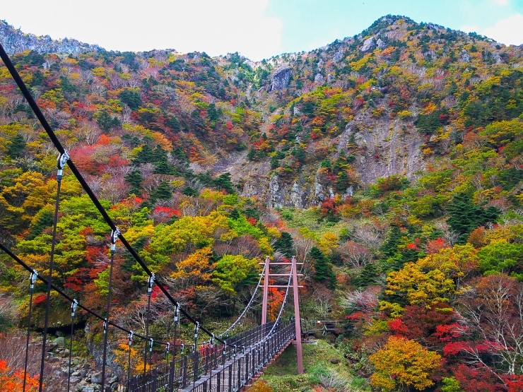【济州观光公社推荐】11月不可错过的济州十大美景