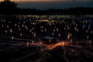 世界级灯光艺术家布鲁斯•蒙罗(Bruce Munro)，以3万个光源表现济州“岳”